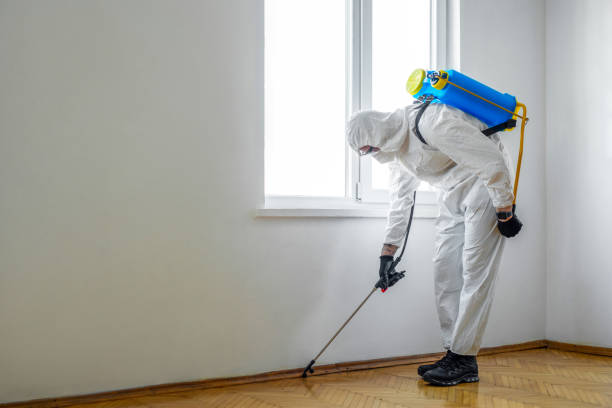 Best Organic or Eco-Friendly Pest Control  in Williamsport, OH